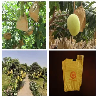 Waterproof%20Mango%20Paper%20Bag%2010%20Pieces%20-%20Image%205