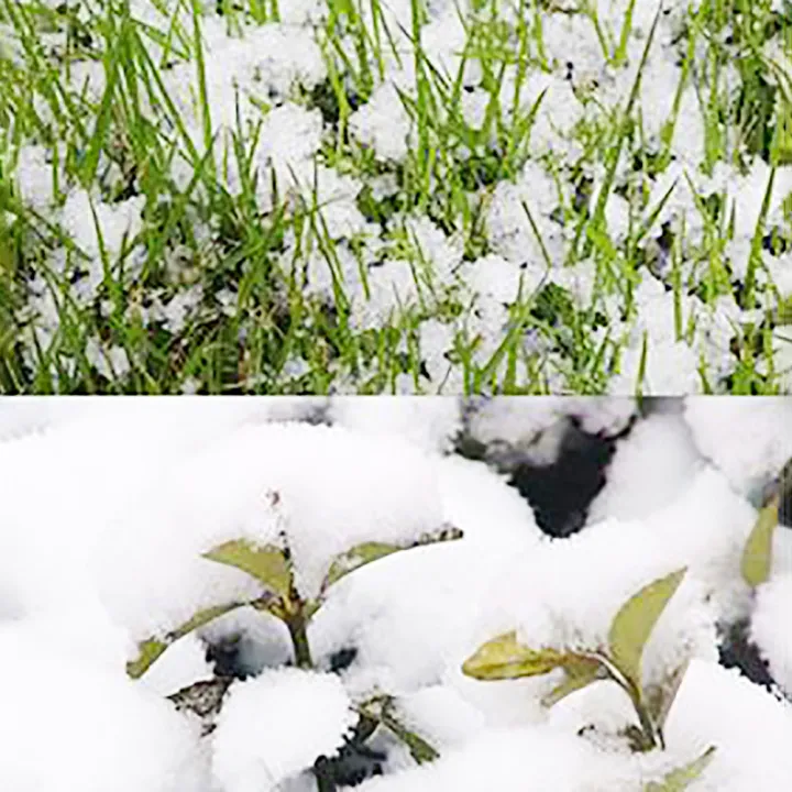 New%2050g%20Artificial%20Magic%20Intant%20now%20Powder%20Chritma%20Party%20DIY%20Xma%20Decoration%20-%20Image%205