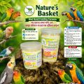 Bird Premium Hand Feeding Formula "A reliable companion for healthy growth and rapid recovery of birds".