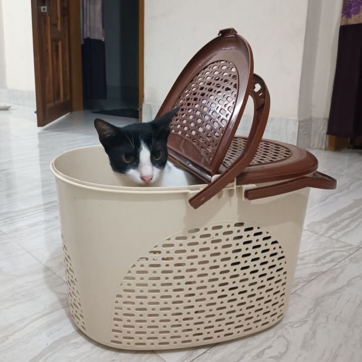 Cat carry basket dog carry basket rabbit carry basket shopping basket big basket basket