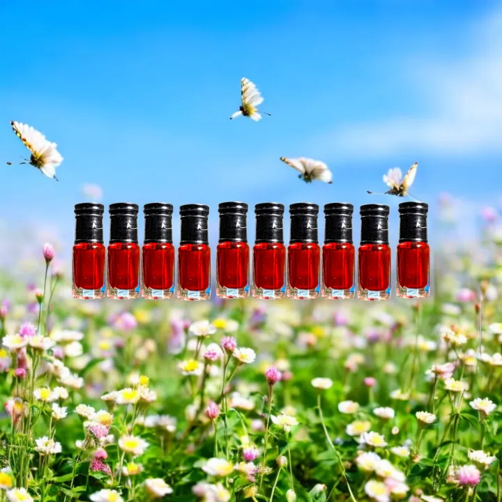 10pcs%20Premium%20Vampire%20Blood%20Scented%20Attar%20Set%20-%20Elegant%20Fragrance%20Collection%20-%20Image%206