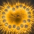 Golden Metal Ball Fairy Light, Metal Ball String Light - Fairy lights 20pcs string lights Party Wedding Decoration. 