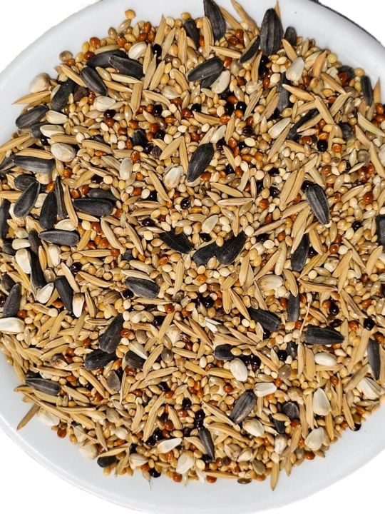 Premium%20Quality%20Cockatiel%20Love%20Bird%20Food%20%20Seed%20Mix%20-1kg%20-%20Image%203