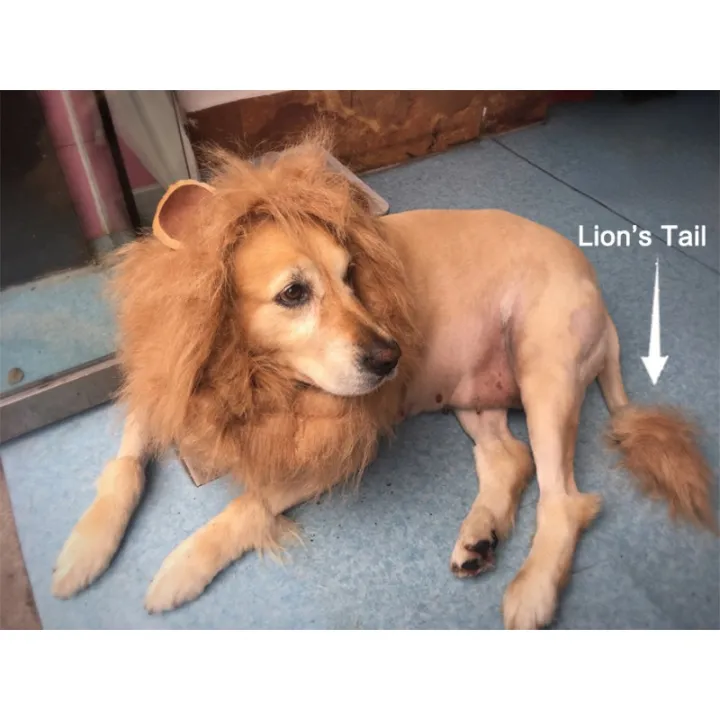 Funny%20Pet%20Hat%20Lion%20Mane%20for%20Dogs%20Cat%20Cosplay%20Dress%20up%20Puppy%20Lion%20Wig%20Costume%20Party%20Decoration%20Halloween%20Christmas%20Pet%20Supplies%20-%20Image%203