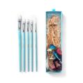 HIMI Flat Brush Set 5pc.