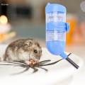 Pet Automatic Water Feeder Fountain Rabbit Hamster 80ml. 