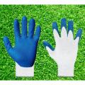 Cutting Hand gloves / Hand Gloves.