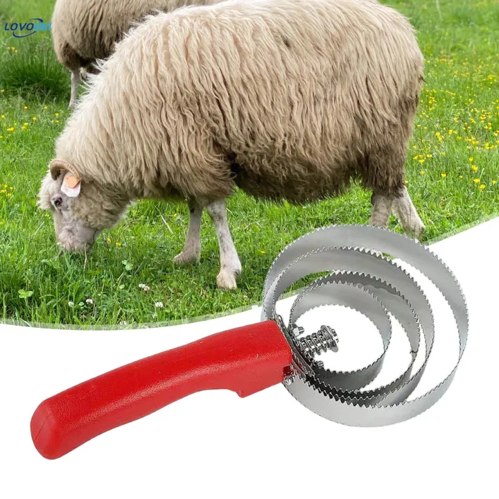 Reversible%20Curry%20Comb%20Convenient%20Double%20Sided%20Curry%20Brush%20for%20Cow%20Pet%20Cattle%20-%20Image%203