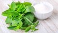 Stevia Seeds. 