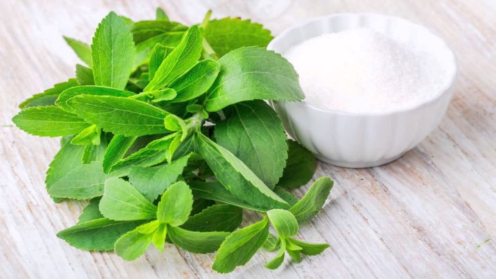 Stevia%20Seeds%20-%20Image%202
