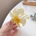 Egg flower claw for women's new high-end hair accessory headwear clip, large back spoon shark clip.