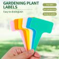 100PCS garden classification label Plastic writing board T-type waterproof flower label.