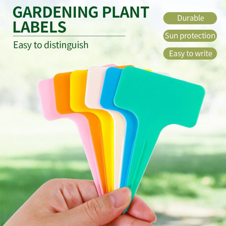 100PCS garden classification label Plastic writing board T-type waterproof flower label