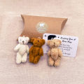 Pocket Bear Plush Toy Stuffed Remove Sadness Graduation Bear Doll. 