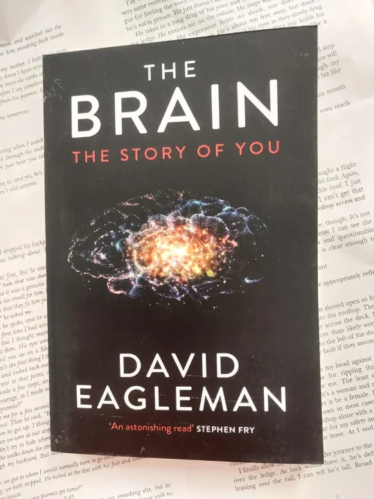 The%20Brain:%20The%20Story%20of%20You%20by%20David%20Eagleman%20-%20Premium%20-%20Paperback%20-%20Image%202