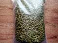 Pumpkin Seed (Kumrar Bich) - 100gm. 