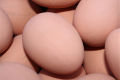 【Yibei Fairy Tale Toy City】Fake Dummy Egg Hen Chicken Prank Plastic Eggs Party Decor Novelty Toy for Kids DIY. 