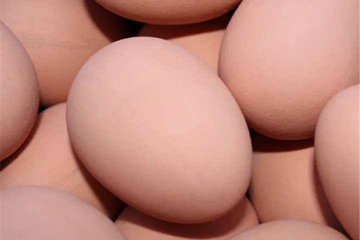 %E3%80%90Yibei%20Fairy%20Tale%20Toy%20City%E3%80%91Fake%20Dummy%20Egg%20Hen%20Chicken%20Prank%20Plastic%20Eggs%20Party%20Decor%20Novelty%20Toy%20for%20Kids%20DIY%20-%20Image%204