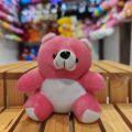 Plain Mini Teddy Bear Dolls | Small Bouquet Bear | Sni Pink Bear Dolls | Plain Dolls. 