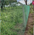 Garden Fencing Net 150 Fit Long 4 Fit Wide. 