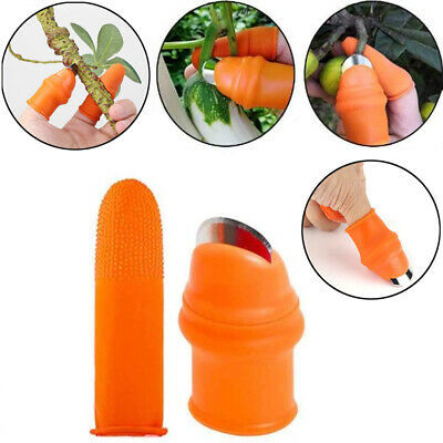 Silicone%20Vegetable%20And%20Fruits%20Thumb%20Cutter%20Finger%20cutter%205%20in%201%20-%20Image%205