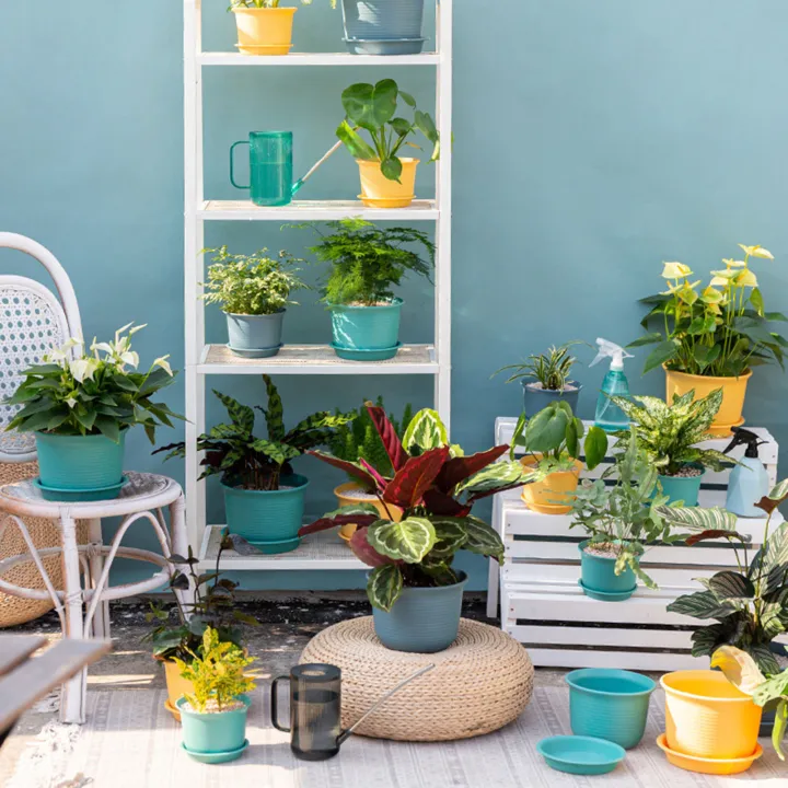 er%20Pot%20Durable%20Strong%20Construction%20Bright-colored%20Pot%20-%20Image%205