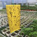 Fruit Fly Traps Bugs Yellow Sticky Board Pest Control Insect Killer Two-sided Glue Paper Trap For Kill Pest. 