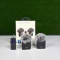F11-2 (3 in 1)Collar Wireless Dual Microphone proprofessional Lepal Lavaliar microphon iPhone/Android & Type C Supported 100& Noise Cancellation By EXOTIX.