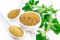 Methi Gura 1kg Fenugreek Powder Premium Whole Fenugreek Powder Organic Methi Seeds Dana Natural. 