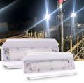 LED Flood Lights lodine Tungsten Light Cool White 100W Modern Construction Site Lighting Waterproof AC 220V 230V 240V. 