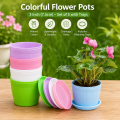 Colorful Flower Pots 3 Inchi(7.5cm) 5 pcs with nice tray. 