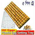 5pcs 101 Egg Incubator Setter Tray For Chicken, Duck, Goose Egg Incubator. 