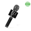 WSTER WS-858 Wireless Microphone and Hifi Speaker. 