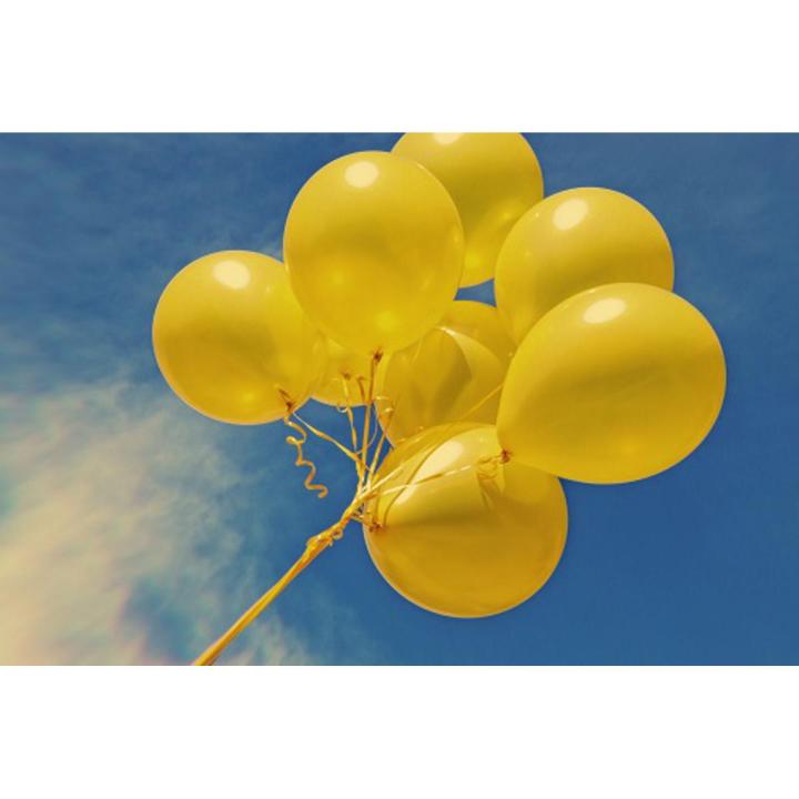 Balloon Monty -Yellow(20 pieces)