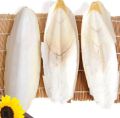 Cuttlebone Cuttlefish Bone Cuttle Fish Bird Food 100g. 