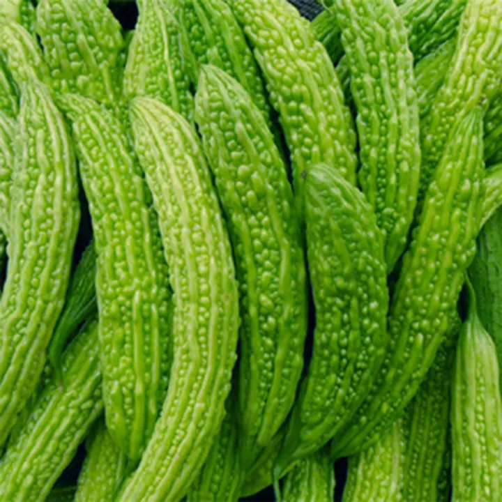 করলা রূপসী বাংলা বীজ - ১০ পিচ ইনটেক প্যাকেট | Daraz.com.bd