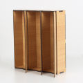 Small Size Single Economy Medicine Organizer Box- Shoe Rack.