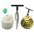 1PC Stainless Steel Coconut Opener Special Tool for Coconut Shell Cover Opening Coconut Opener Opening Hole Hole Opener.
