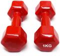 Vinyl Dumbbell 1 Kg with Pair. 