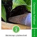 100g Osmocote Slow Release Fertilize For Orchids, Flowers, Plants, Vegetables, Potted plant, Bushes, Bonsai, Perennial Shrubs Inside and Outside Office Buildings or Home Garden  From Green Messenger ( 4 Different Ratio). 