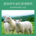 Bioaqua Sheep Oil Moisturizing & Smooth Skin Hand Cream- 30g.