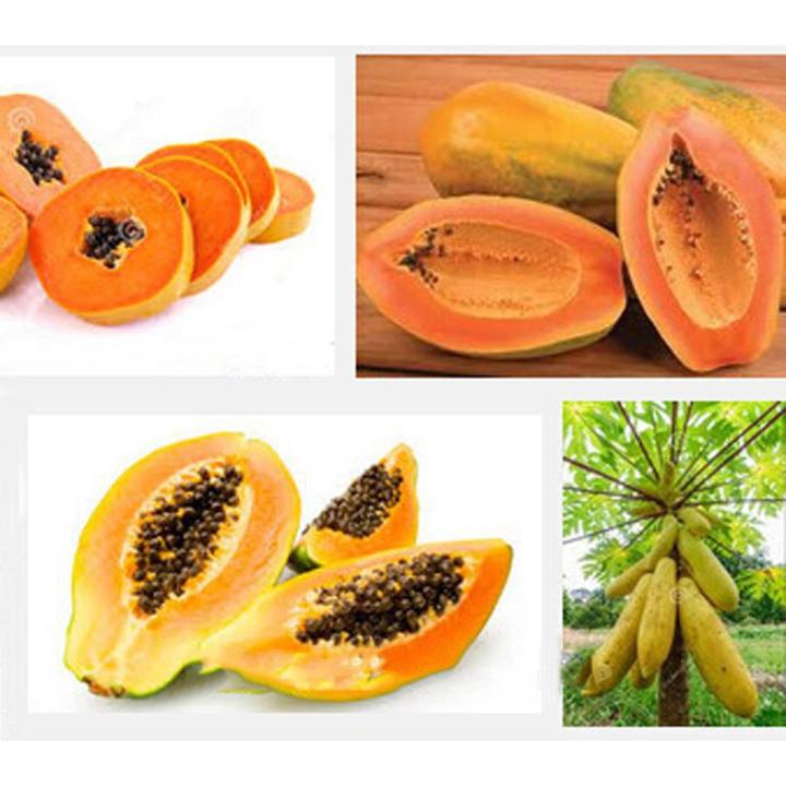 Hybrid Yellow Gold Papaya Seeds(হলুদ পেঁপে বীজ)- 10 Pcs Seeds