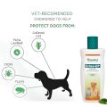 Himalaya Erina EP Tick   and Flea Control Shampoo 200ml. 