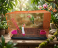 Premium Coloring Rectangular Flight Bird Cage for Lovebirds, Budgies, and Finches – Complete Setup with Swing, Ladder, Wood Perch, Feeding Cups, and Removable Bottom Tray.