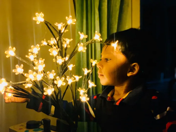 Home%20Decorative%20Cherry%20TREE%20light%20Warm%20White%20or%20Multicolor%20Cherry%20Blossom%20Bonsai%20Sakura%20/%20Fairy%20Lights%20/Table%20Lamp/%20Wedding%20Gift%20Item%20-%20Image%206