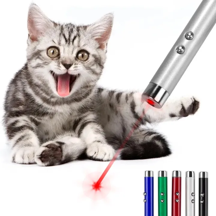 4mW%20Keychain%20Laser%20Pointer%202%20In%201%20Light%20Lazer%20Red%20Laser%20Lazer%20Pointer%20Pen%20+%20LED%20Light%20Torch%20Cat%20Dog%20Fun%20Toy%20No%20Battery%20-%20Image%205