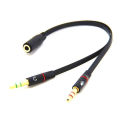 3.5mm Female to 2 male audio cable. 