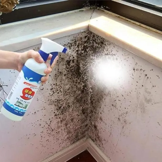 Wall%20Mold%20Removal%20Spray%20Mould%20Stain%20Agent%20Cleaner%20Powerful%20Strong%20Effect%20500ML%20for%20Toilet,%20Homes,%20Kitchen%20Anti%20Fungus%20Wall%20Mold%20Remover%20Spray%20-%20Image%202