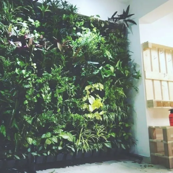 2%20set%20of%20Vertical%20Plastic%20Flower%20planter%20Tub%20with%20wall%20mounted%20stand%20and%206%20pockets%20Pots,%20Wall%20Hanging%20planting%20Pots%20-%20Image%205
