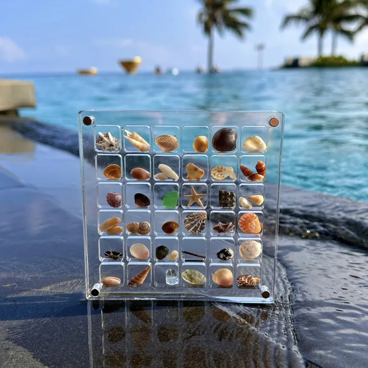 GC%20Magnetic%20Seashell%20Display%20Box%20Dustproof%20Stackable%20Transparent%20Acrylic%20Display%20Box%20Ornament%20Birthday%20Gifts%20For%20Men%20Women%20-%20Image%205